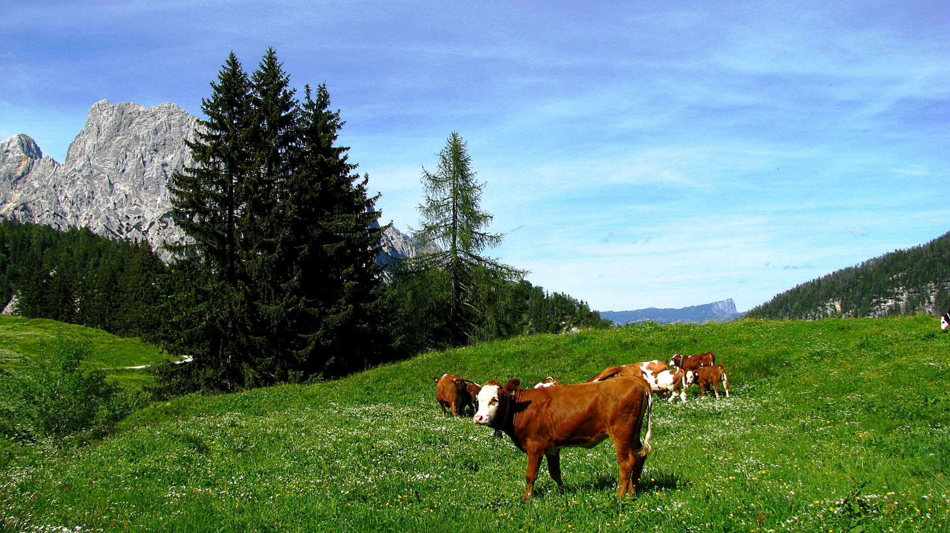 Idylle auf der Alm Foto & Bild landschaft, berge, natur Bilder auf