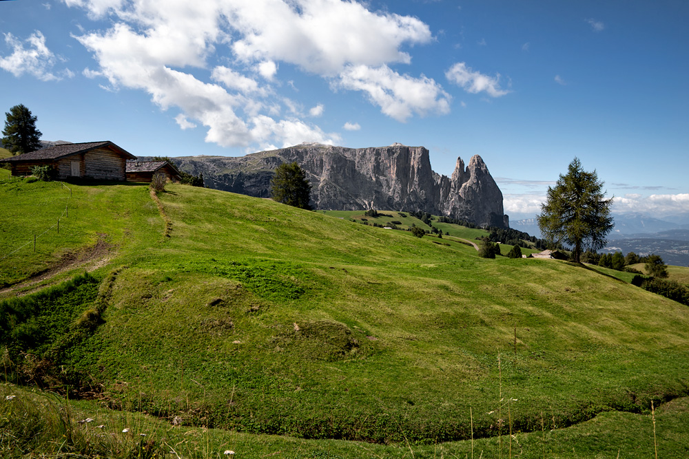 Idylle auf der Alm