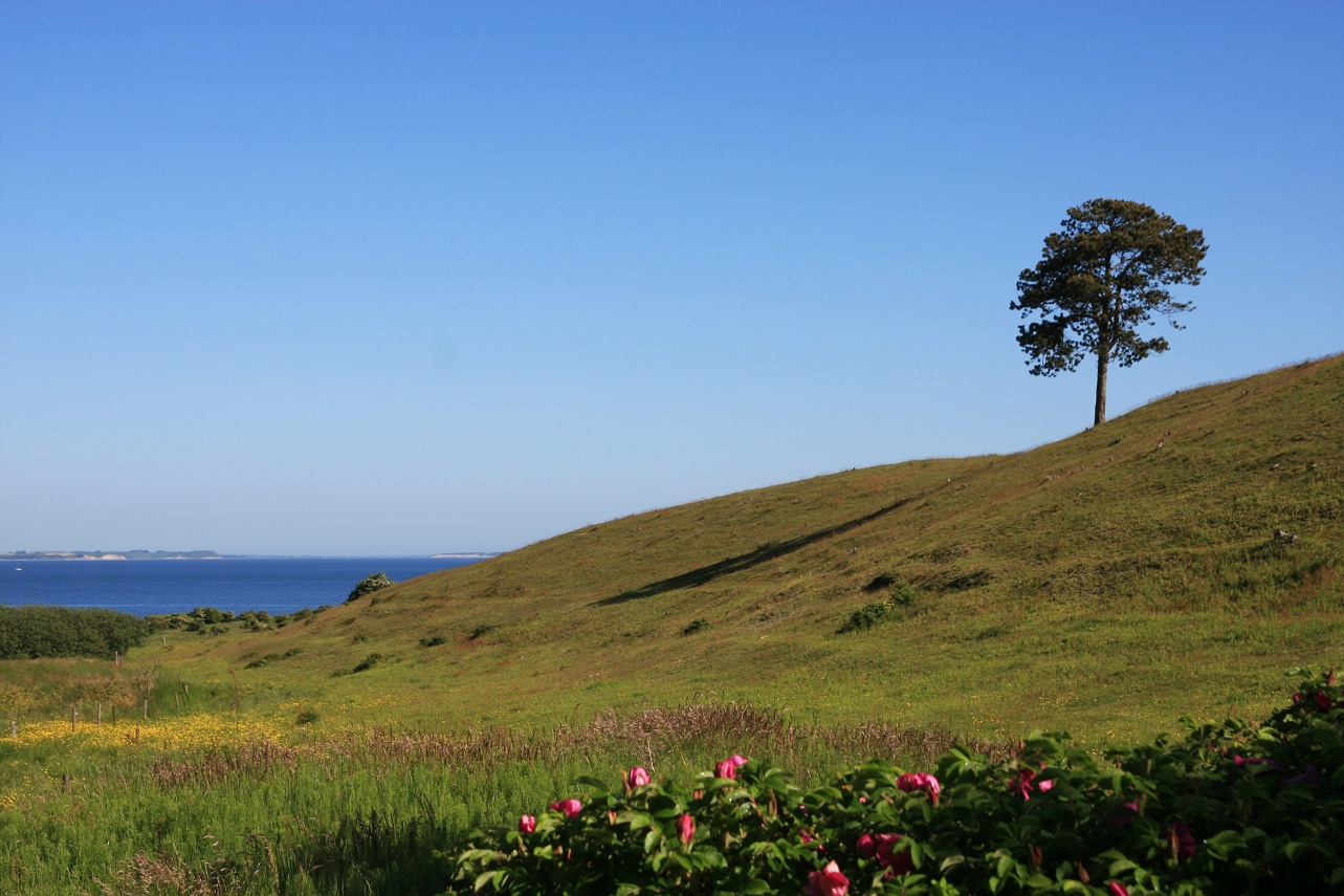 Idylle auf der Insel Fur