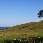 Idylle auf der Insel Fur