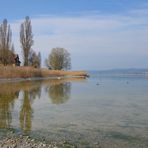 Idylle auf der Insel Reichenau  I