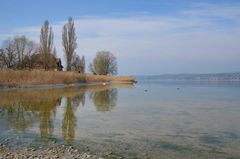 Idylle auf der Insel Reichenau  I