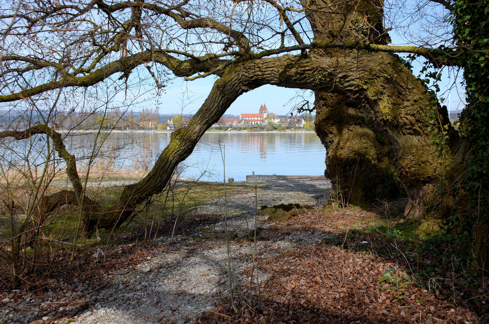 Idylle auf der Insel  Reichenau II