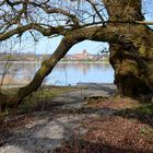 Idylle auf der Insel  Reichenau II