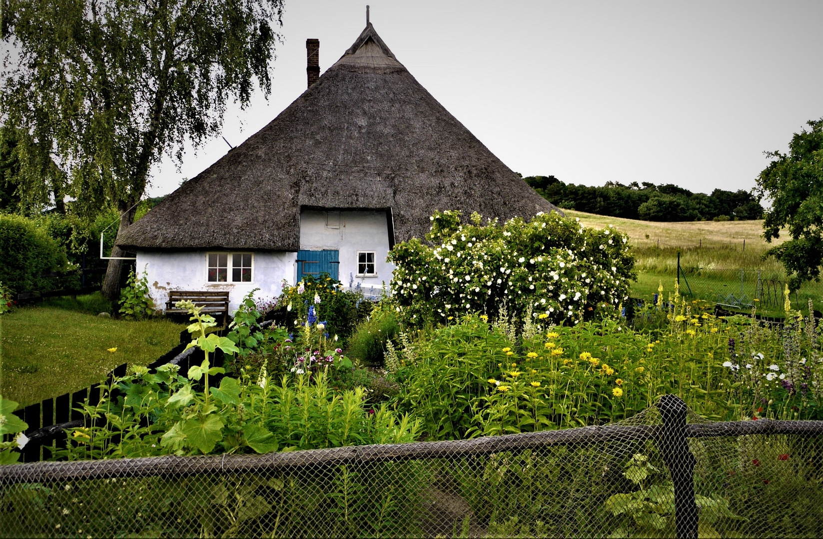 Idylle auf der Insel Rügen - Das Pfarrwitwenhaus