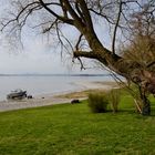 Idylle auf der Reichenau -3-