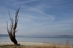 Idylle auf der Reichenau 