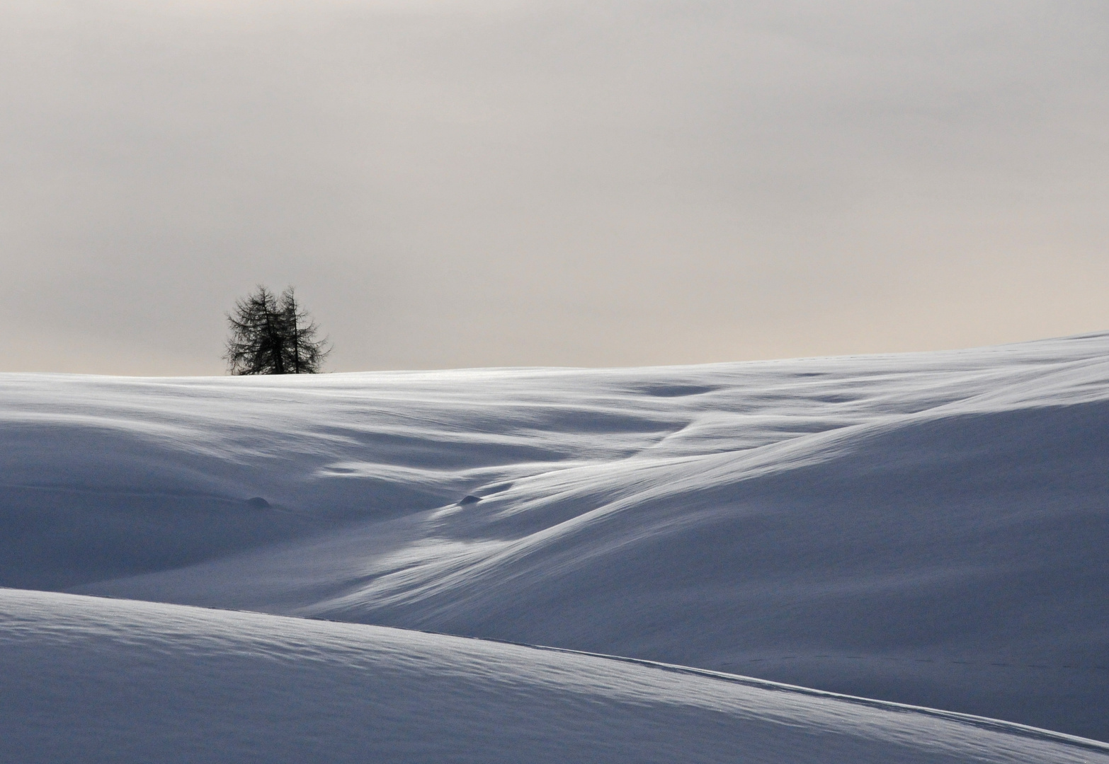 Idylle auf der Seiser Alm