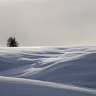 Idylle auf der Seiser Alm