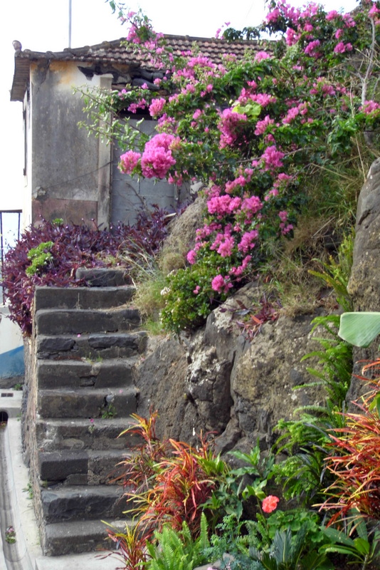 Idylle auf Madeira