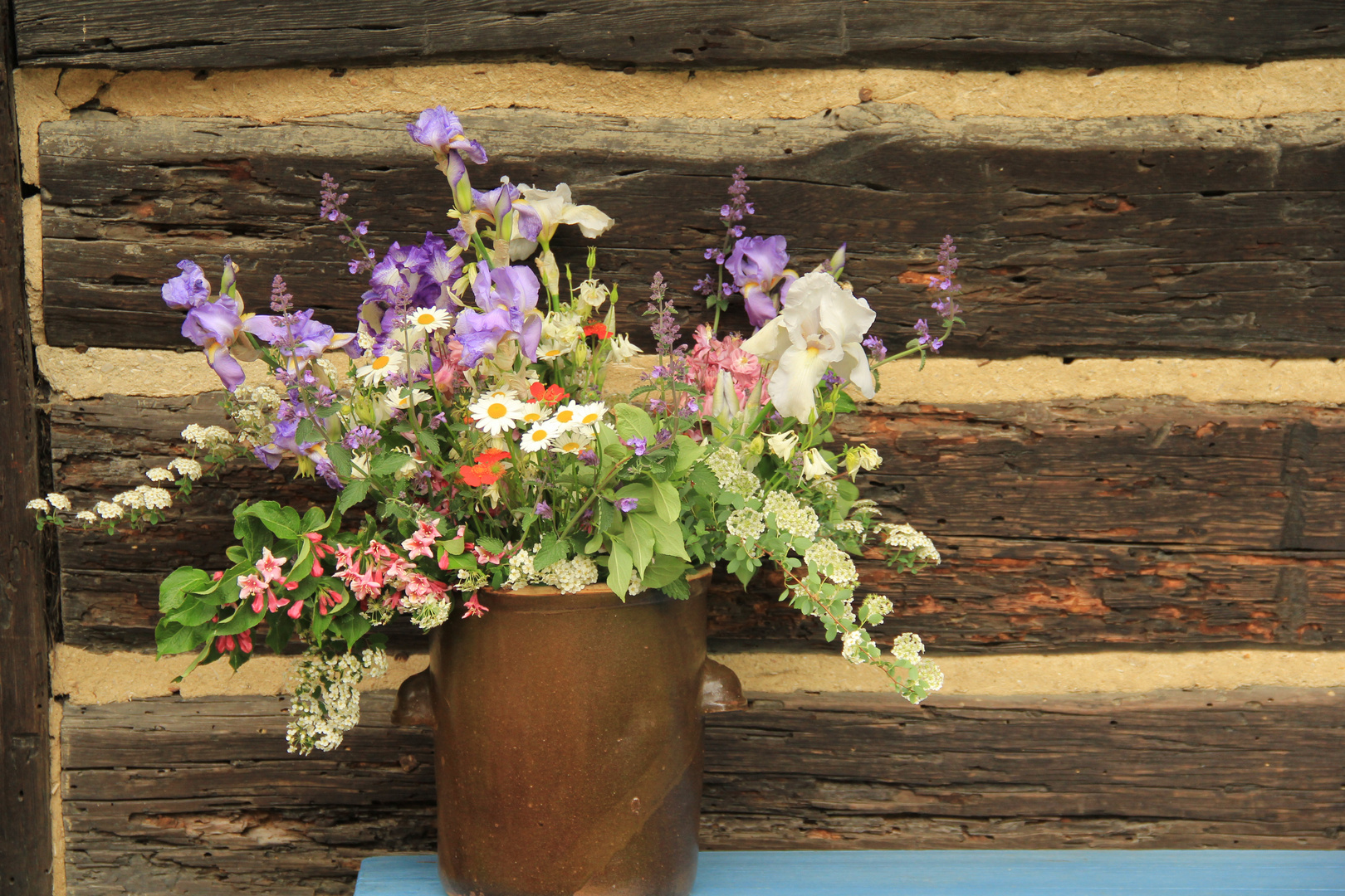 Idylle aus dem Spreewald