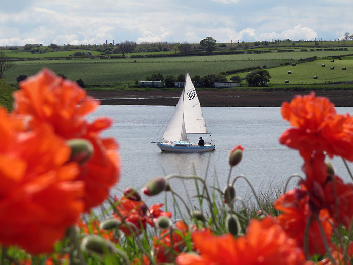 Idylle bei Alnmouth