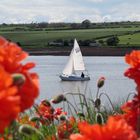 Idylle bei Alnmouth