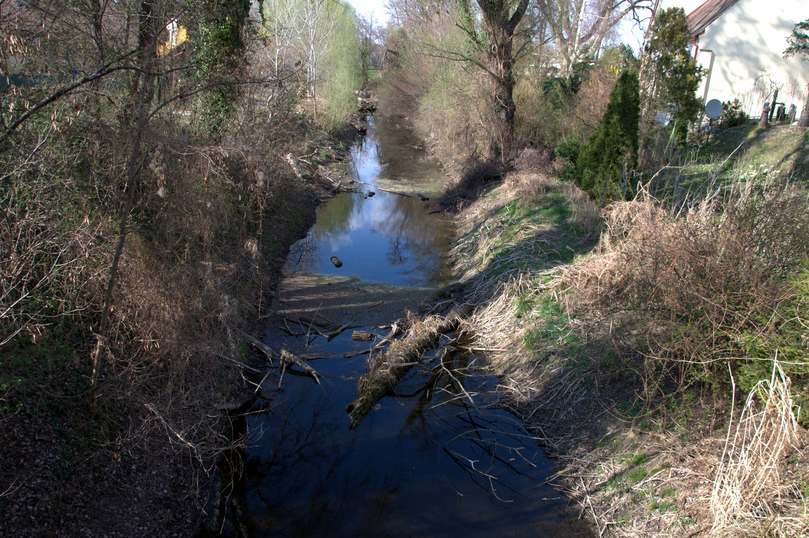 Idylle bei Orth an der Donau