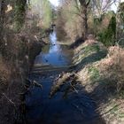 Idylle bei Orth an der Donau