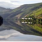 Idylle bei Pinhão am Douro