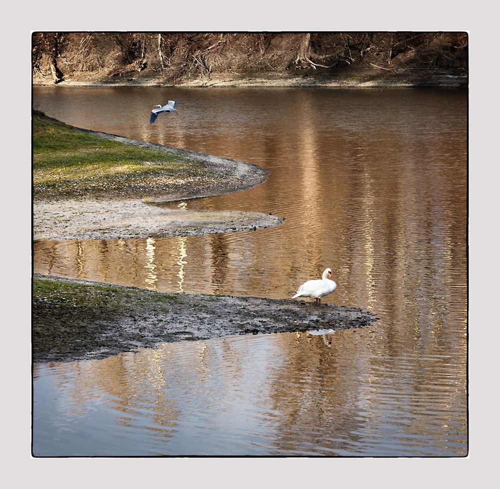 Idylle bei Sonnenuntergang an der Donau