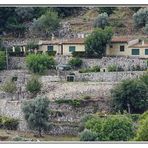 Idylle bei Valldemossa