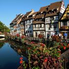 Idylle Colmar - Elsass/Frankreich