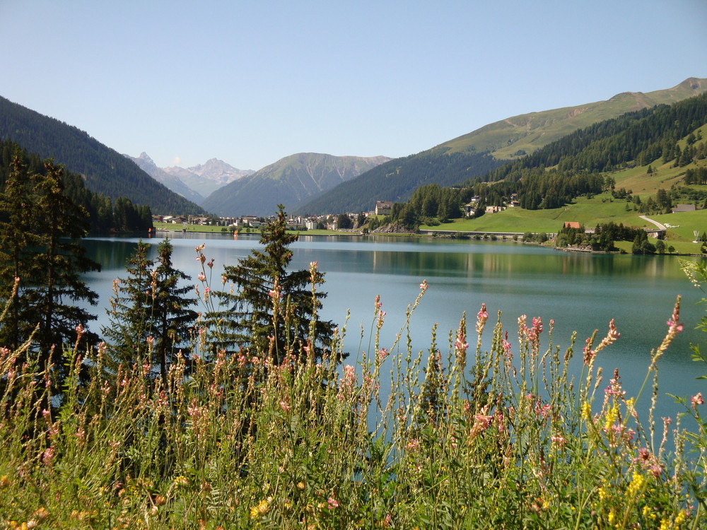 Idylle - Der Bergsee - in Davos