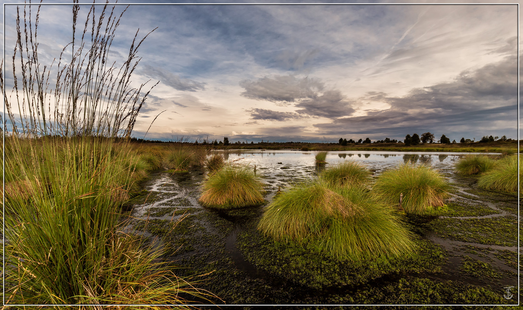 Idylle Hohes Venn_HDR