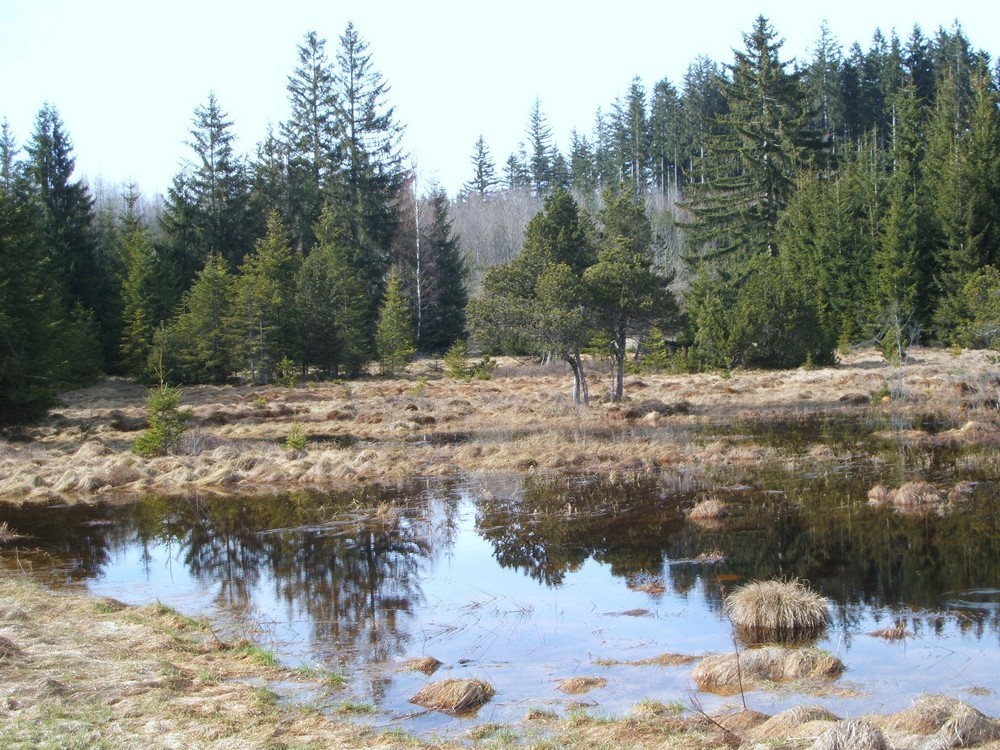 Idylle im Allgäu