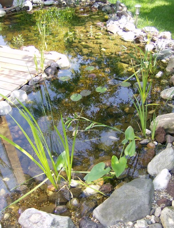 idylle im garten...