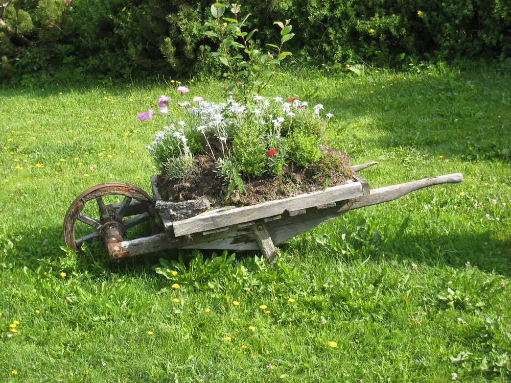 Idylle im Garten