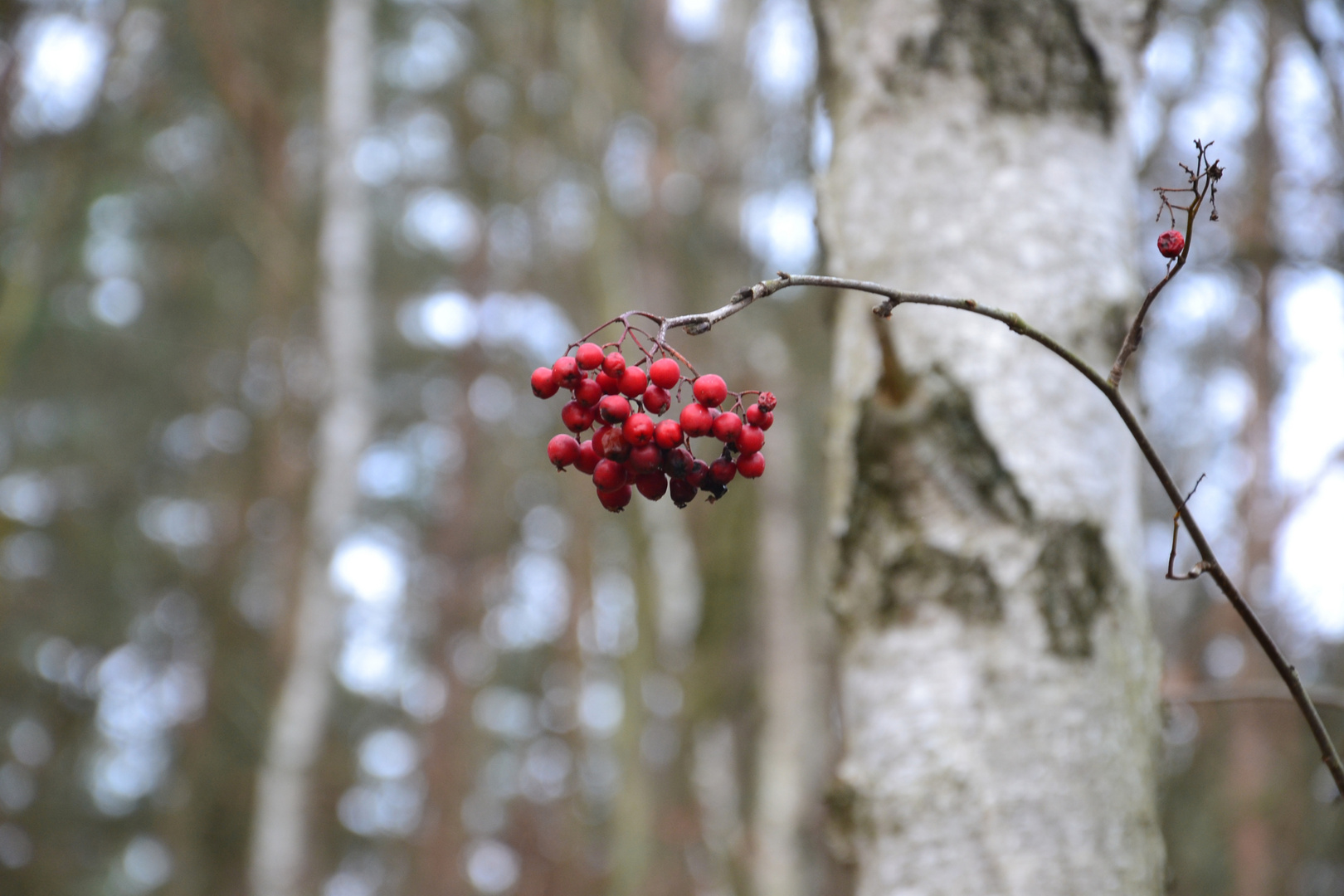 Idylle im Herbst