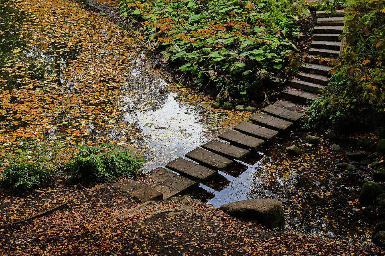 Idylle im Herbst