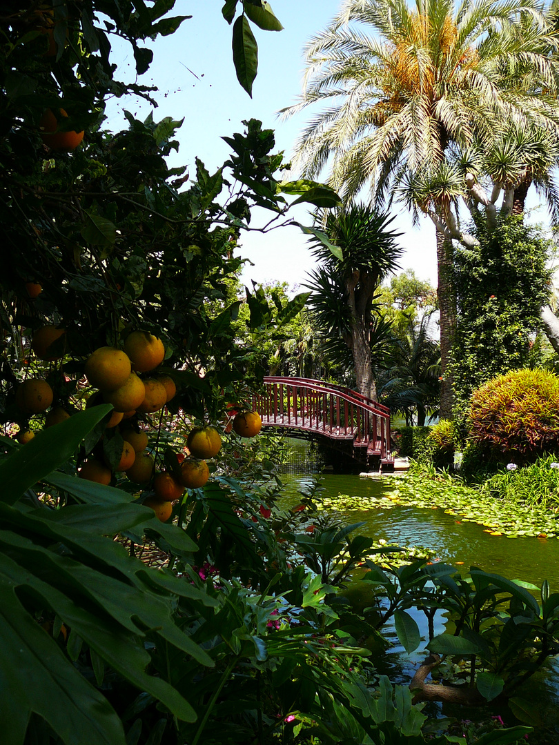 Idylle im Hotel Botánico