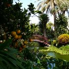 Idylle im Hotel Botánico