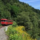 Idylle im Ilztal