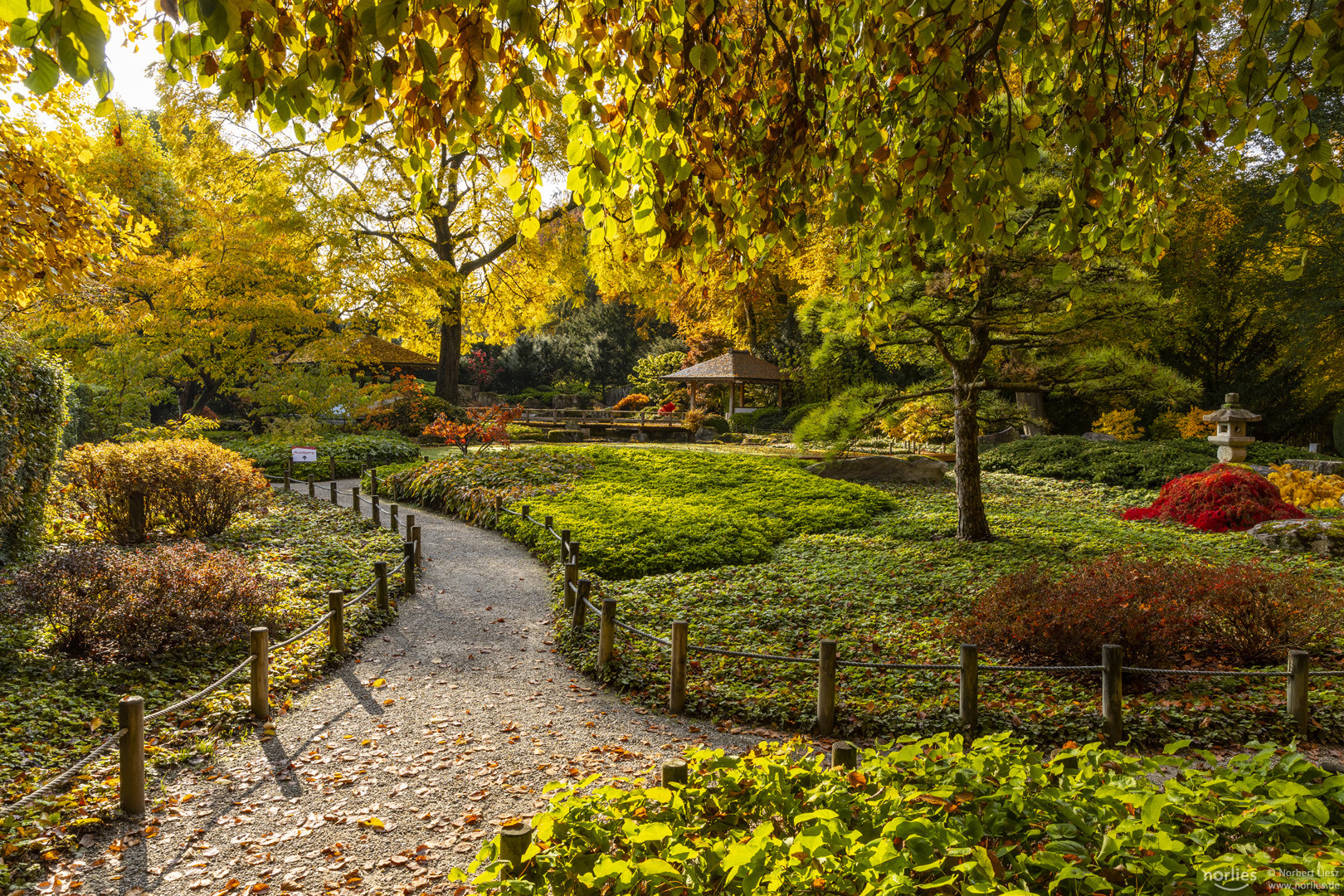 Idylle im Japangarten