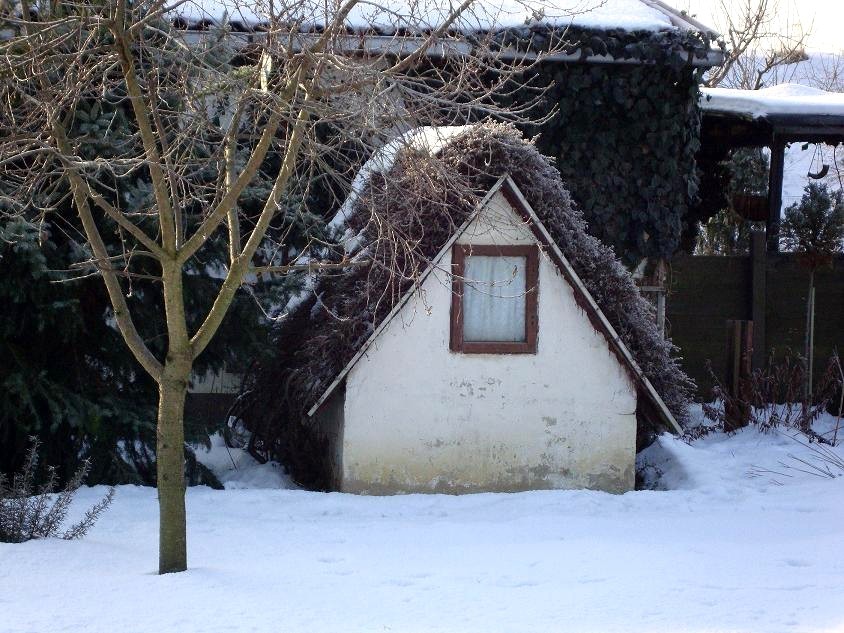 Idylle im Nachbargarten