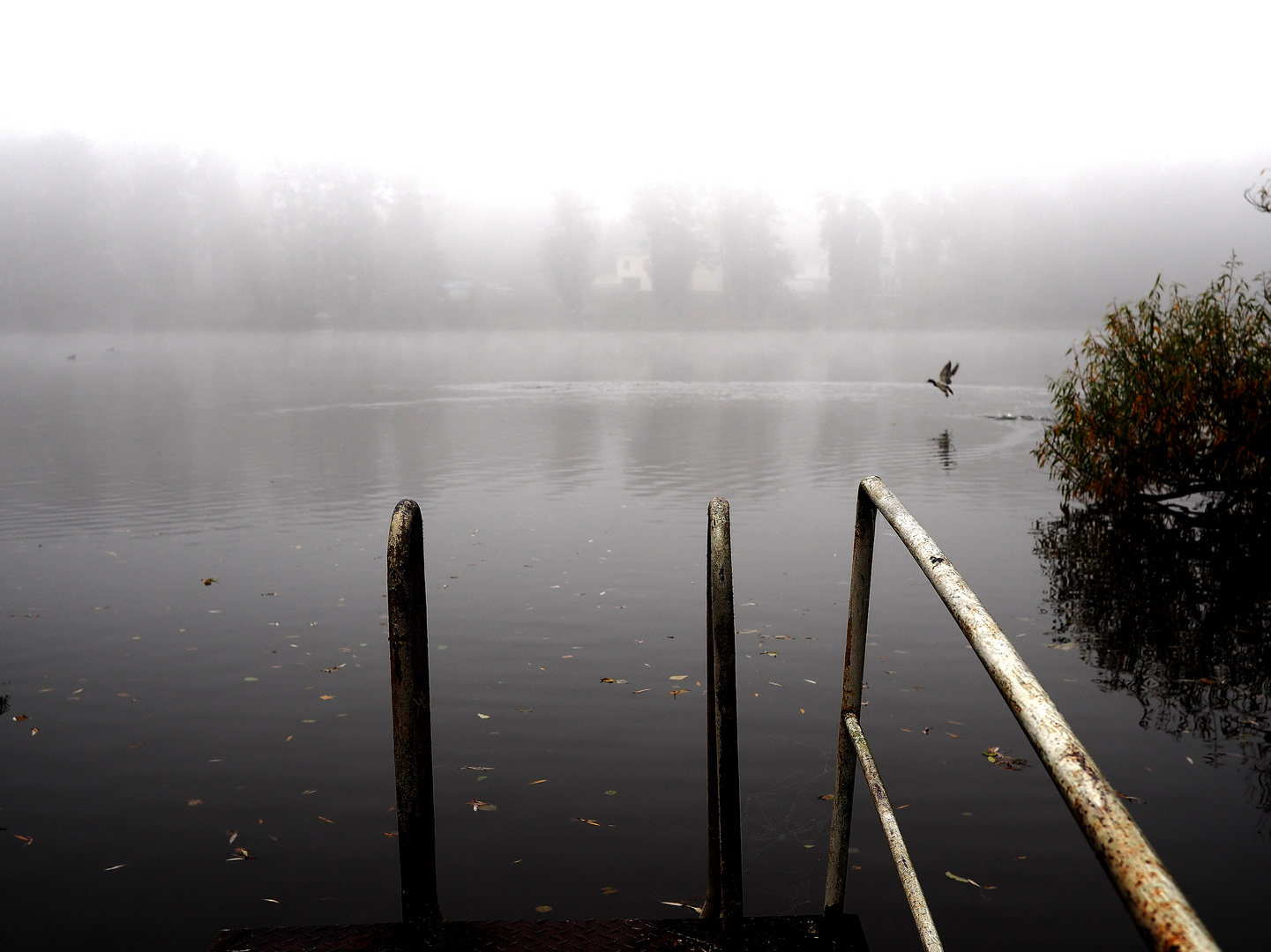 Idylle im Nebel