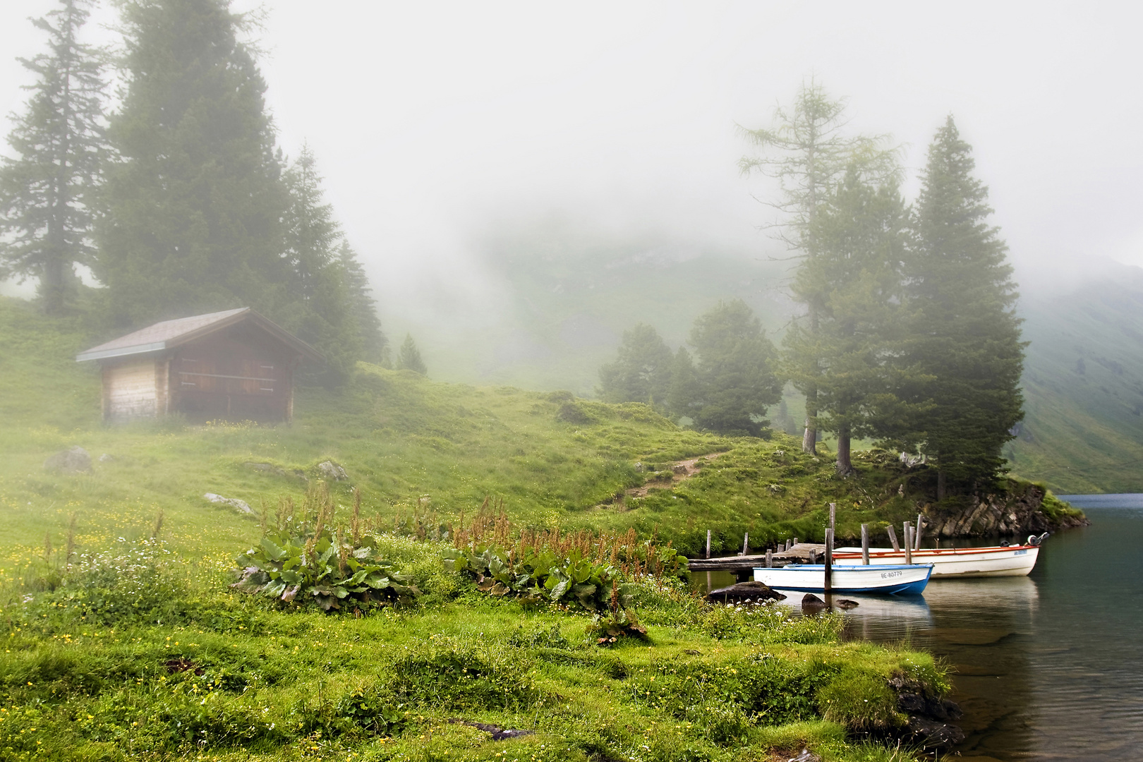 Idylle im Nebel