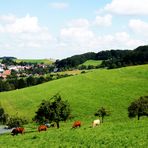 Idylle im Odenwald