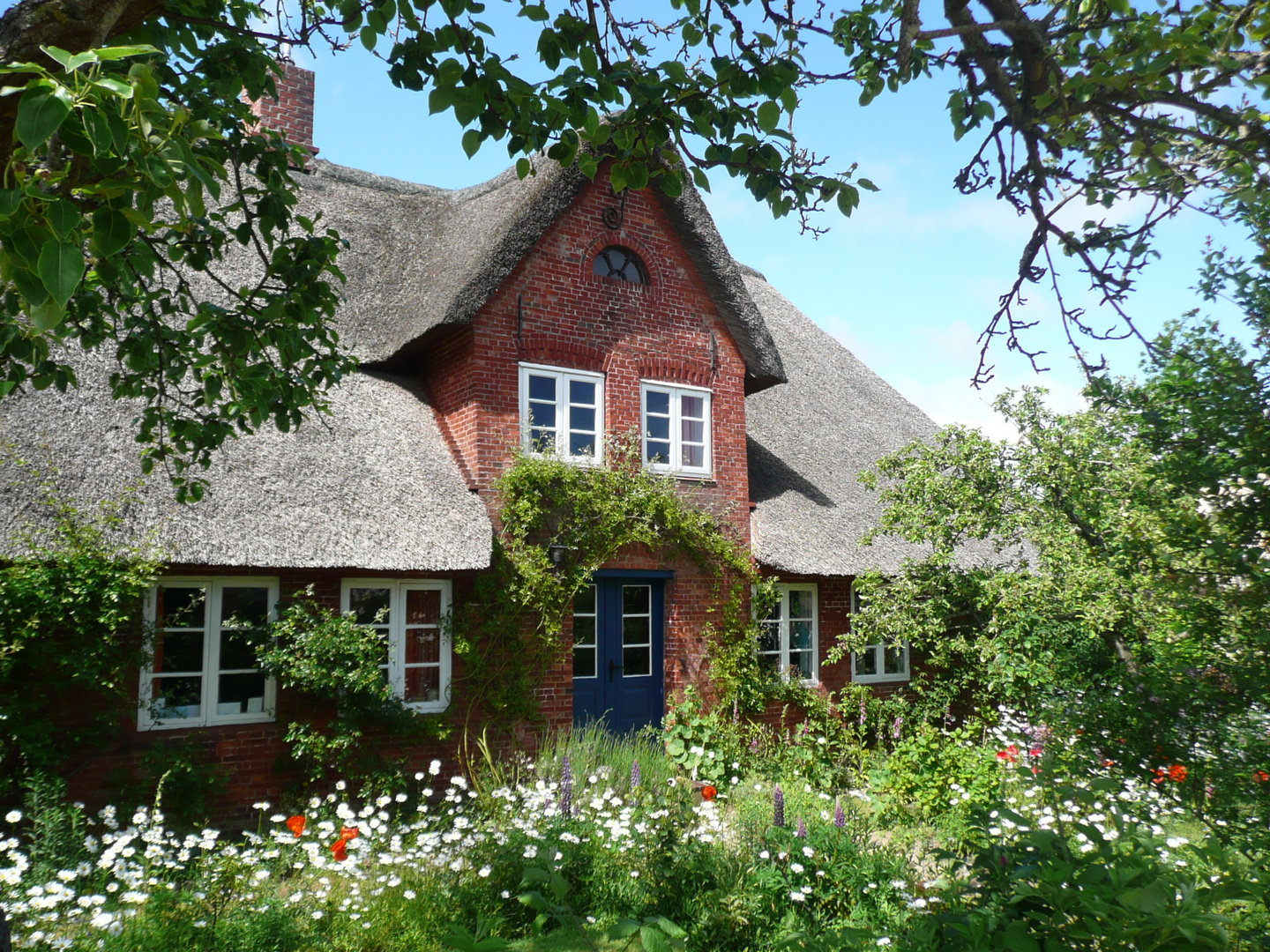 Idylle im Ort Nebel / Amrum