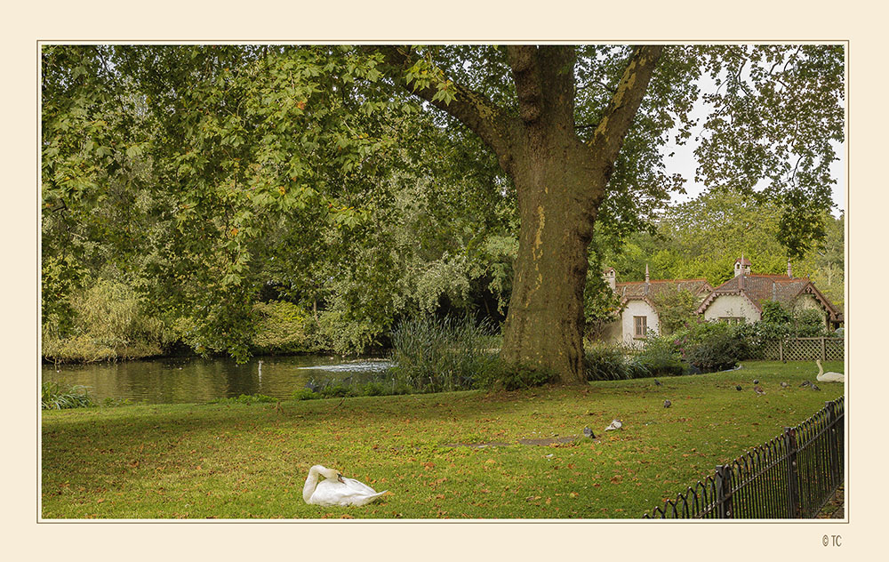 IDYLLE IM PARK