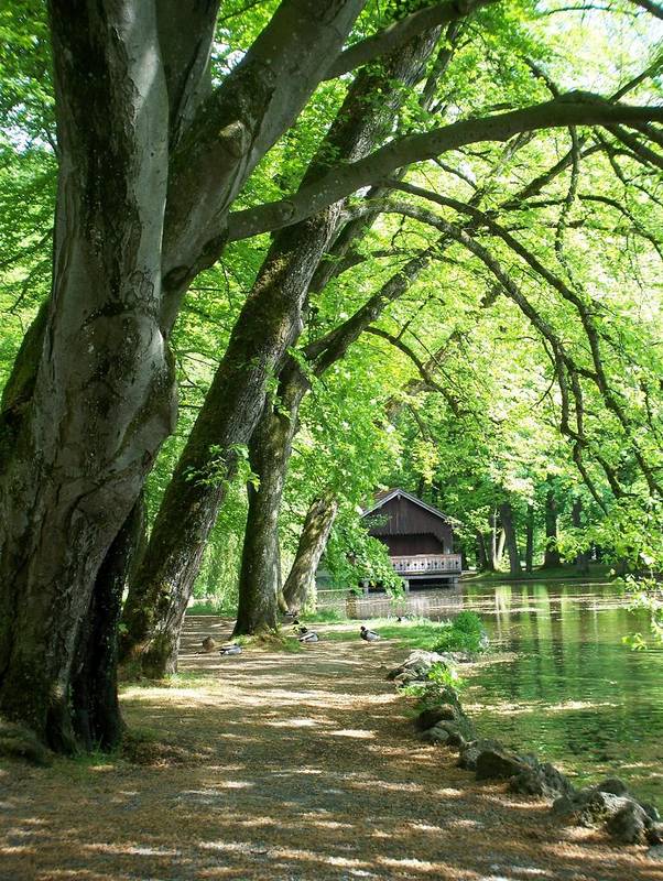 Idylle im Park