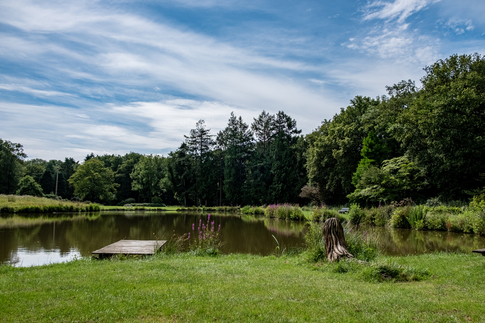 Idylle im Rhodopark Westerstede