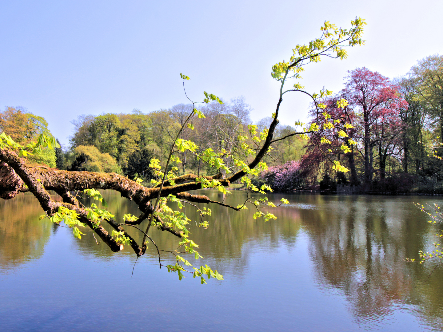 Idylle im Rombergpark DO