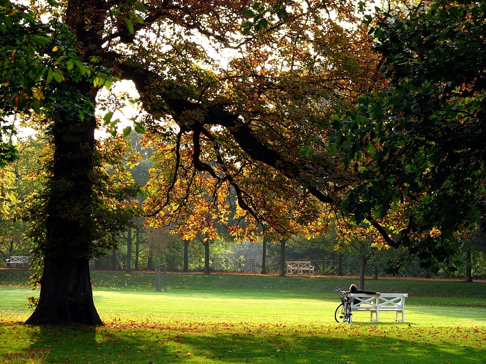 Idylle im Schloßpark