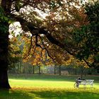 Idylle im Schloßpark