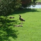 IDYLLE IM SCHLOSSPARK.....