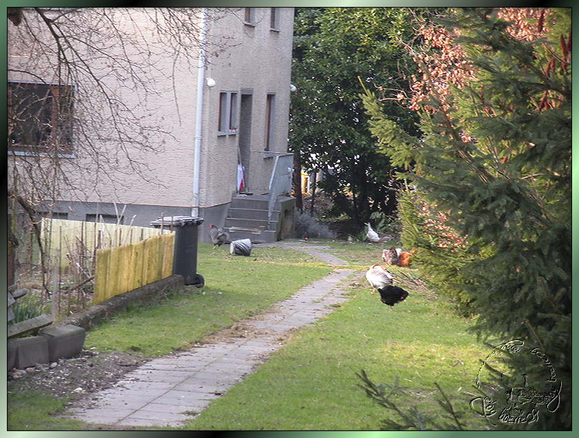 Idylle im Schnarchdorf