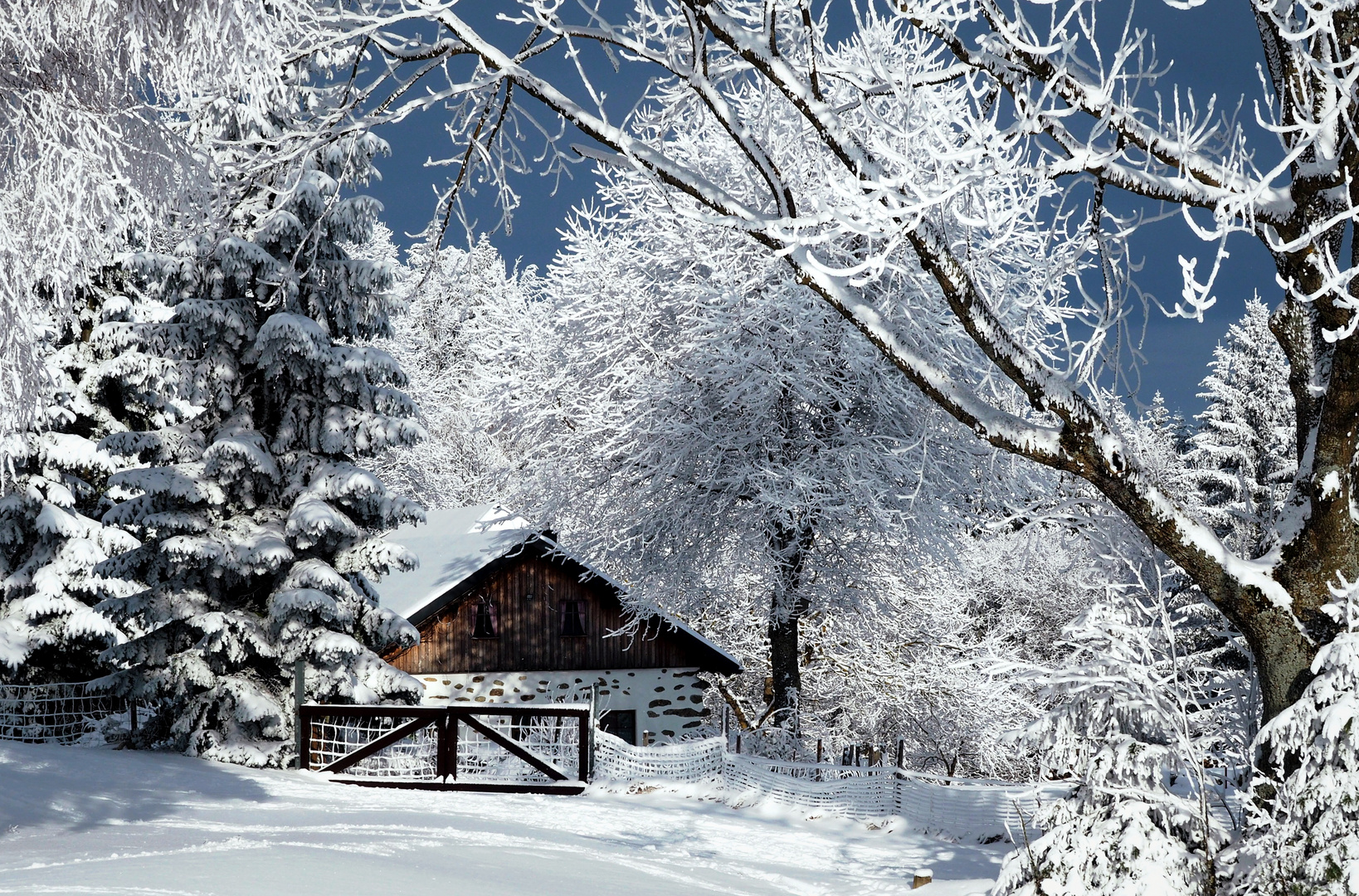 Idylle im Schnee