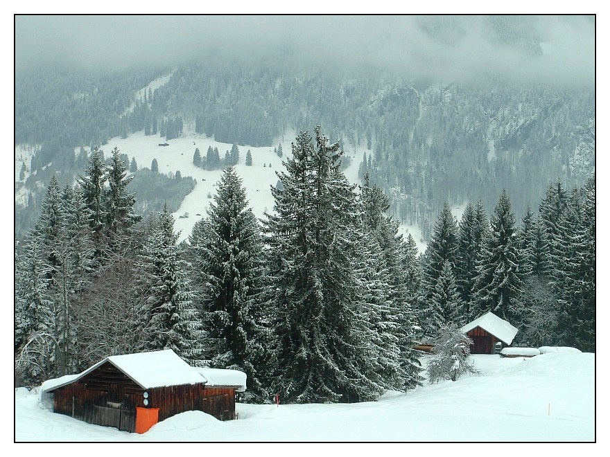 Idylle im Schnee