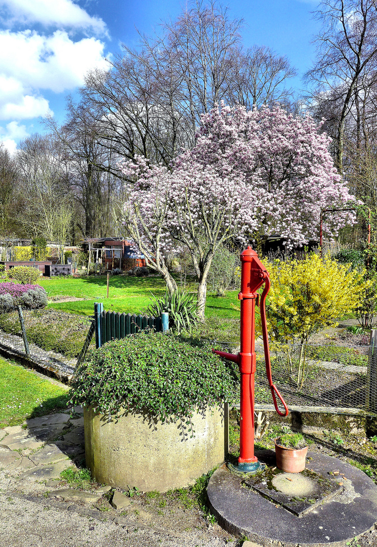 Idylle im Schrebergarten